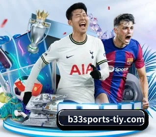 b33体育 APP 界面